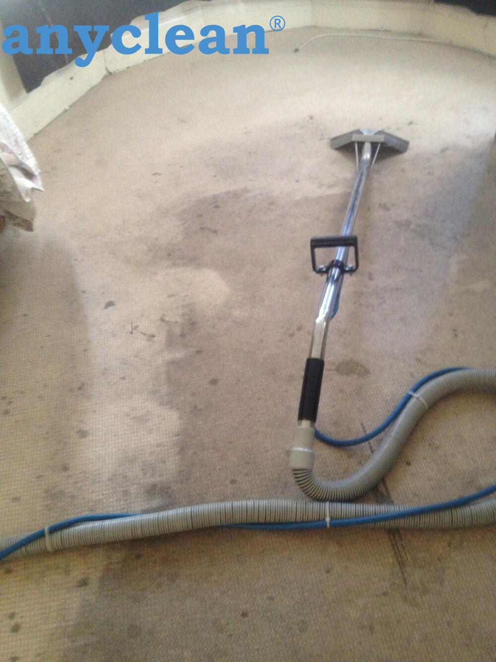 Instant carpet cleaning results for homes near HWM6 34 London, United Kingdom