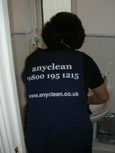 Cleaning Crouch End homes since 1998