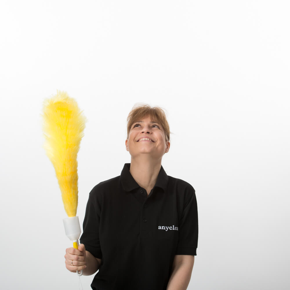Trained and uniformed Paddington cleaning experts