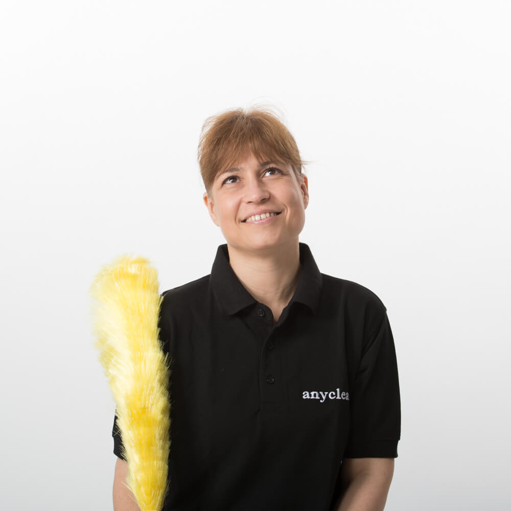 cleaning_services_wood_green Premium-quality domestic cleaning in N22