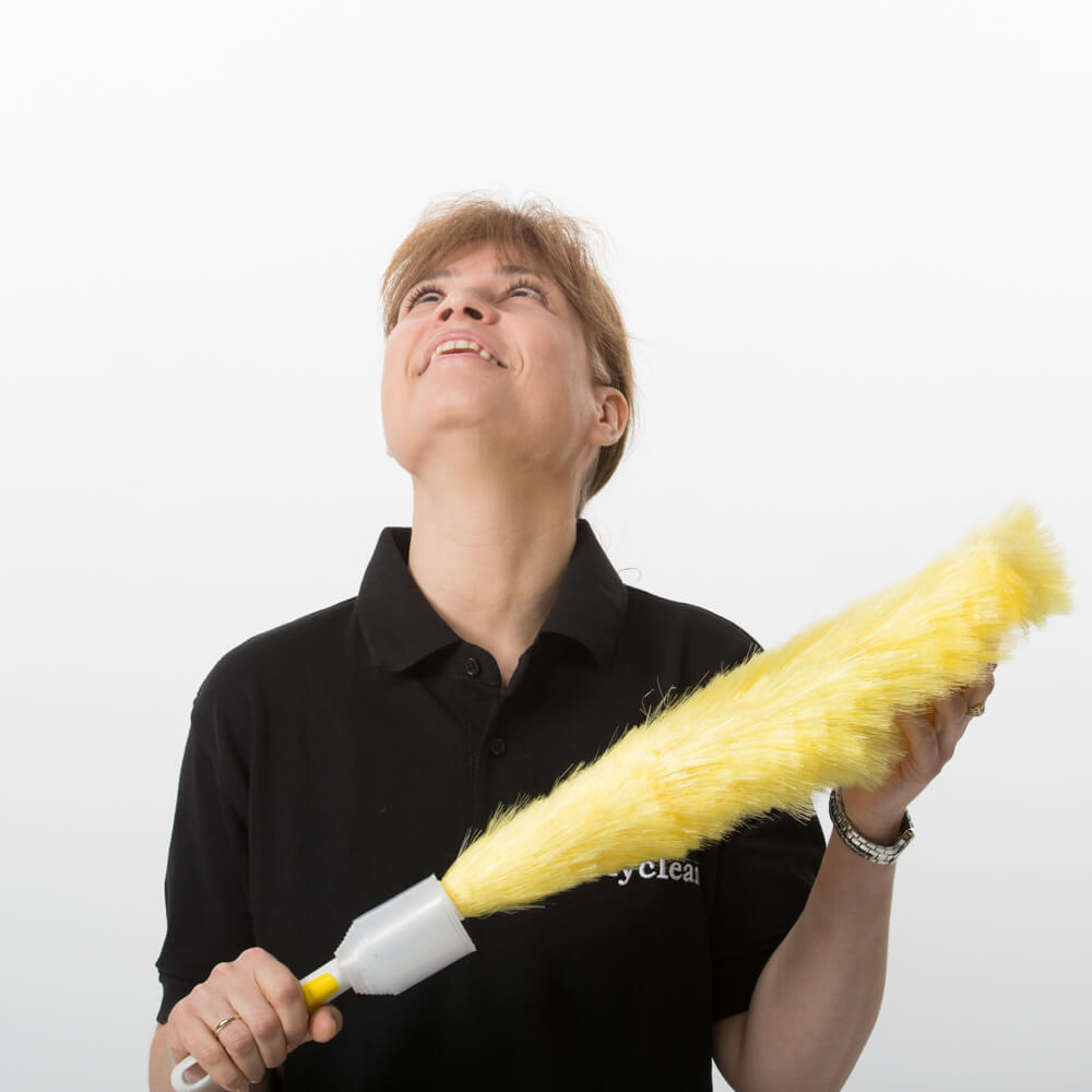 A rock-solid Barnes cleaning partner