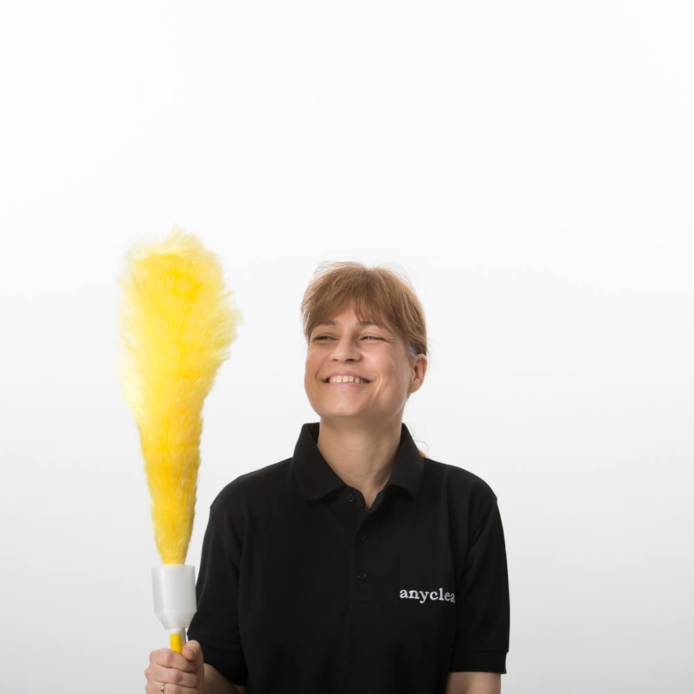 Affordable cleaning services in Seven Sisters by Anyclean