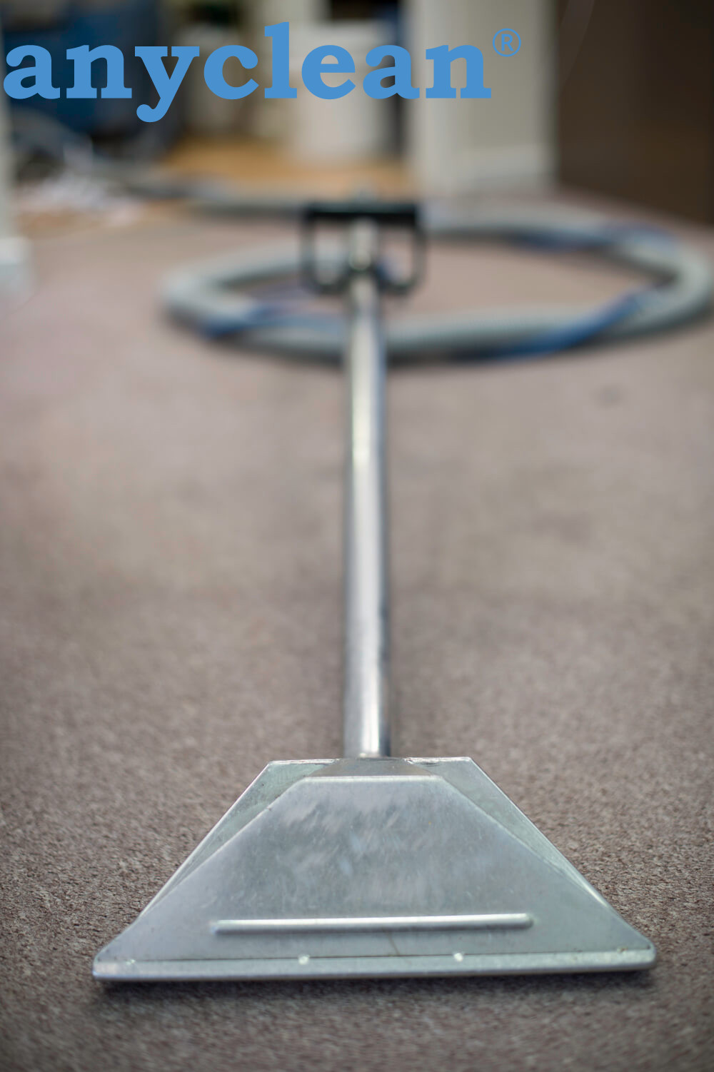 Efficient carpet care near QM2F 63 St Albans, United Kingdom