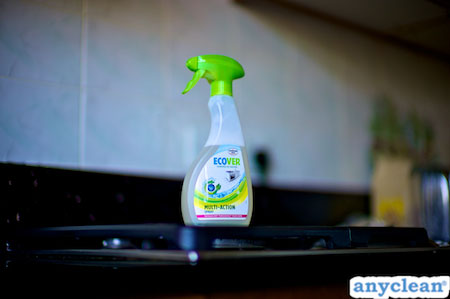 Anyclean Cleaning Products