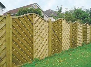 Fence Cleaning