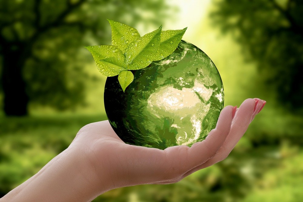 Protect Earth by living green